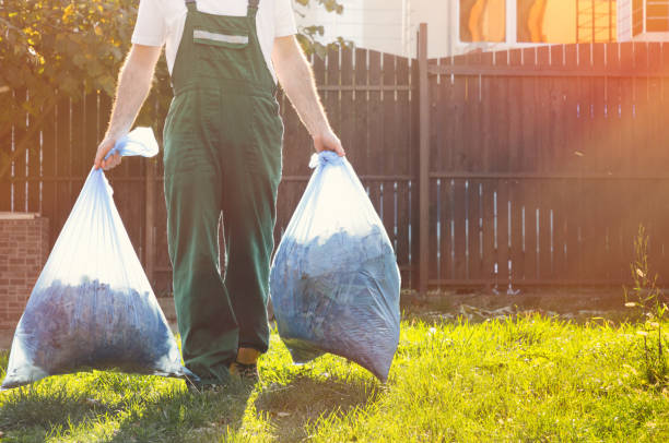 Best Mattress Removal Service  in Williamson, WV