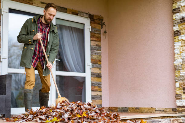 Best Electronics Removal Services  in Williamson, WV